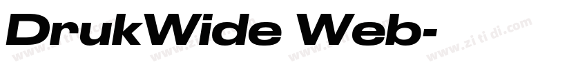 DrukWide Web字体转换